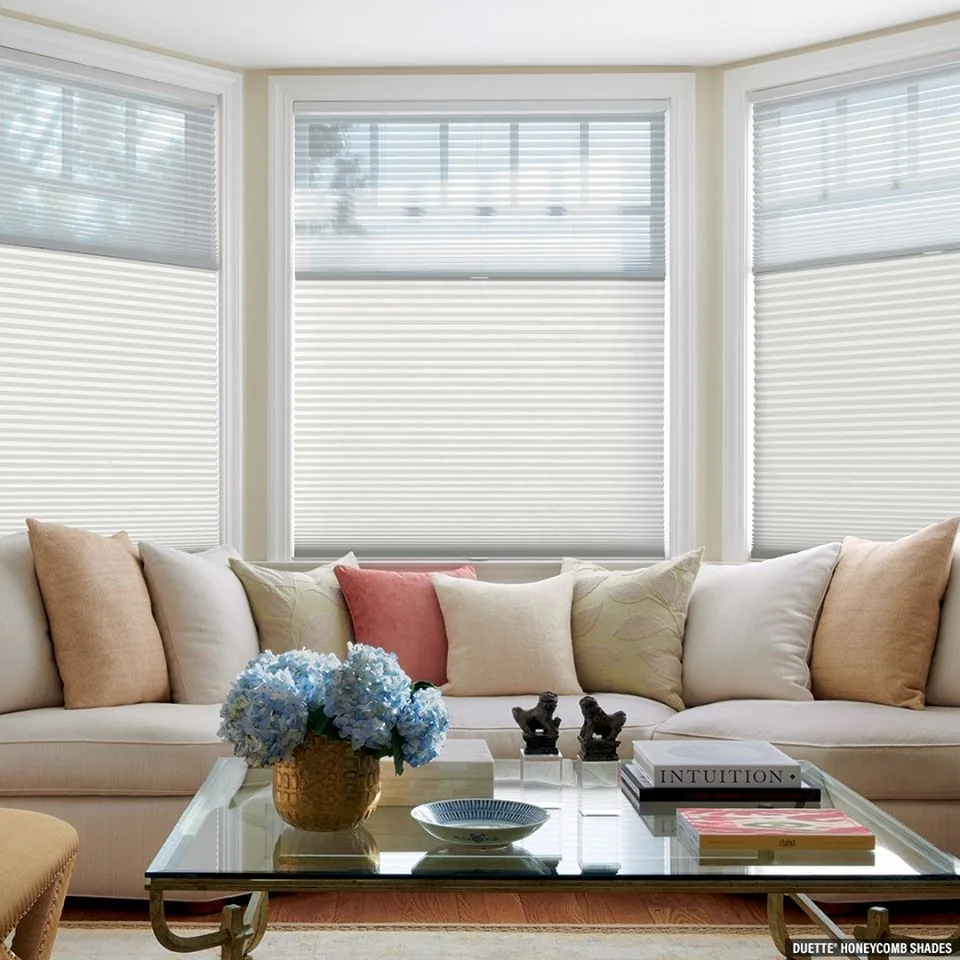 Hunter Douglas Duette honeycomb shades