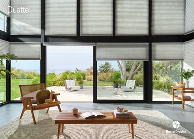 Hu2 Hunter Douglas Duettes